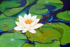 P9, Seerose weiß, 2003, A-L, 40x50, © Lore Weiler