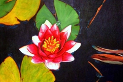 P10, Seerose rot, 2003, A-L, 40x50, © Lore Weiler