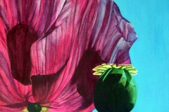 P8, Schlafmohn, 2005, A-L, 60x40, © Lore Weiler