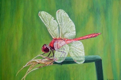 T5, 2004, A-L, 40x50, © Lore Weiler