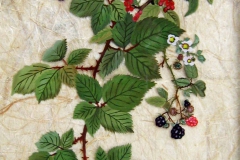 HG13, Brombeeren, 1989, ÖL, 25x20, © Lore Weiler