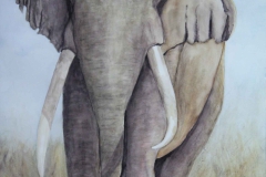 T1, 2003, Aquarell, 60x50, © Lore Weiler
