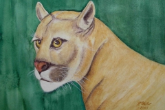 T2, 2003, Aquarell, 50x60, © Lore Weiler