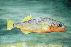 T3, 2003, Aquarell, 50x60, © Lore Weiler