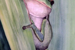 T4, 2003, Aquarell, 90x70 m.PP., © Lore Weiler