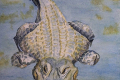 T7, 2003, Aquarell, unverkäuflich, © Lore Weiler
