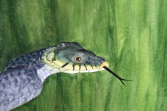T8, 2003, Aquarell, unverkäuflich, © Lore Weiler