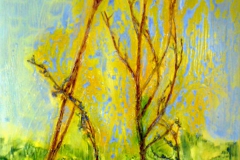 ML9, 2013, A-L-MT, 70x50 © Lore Weiler