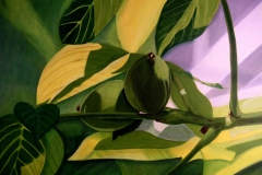 P5, Grüne Walnüsse am Baum, 2005, A-L, 40x60, © Lore Weiler