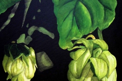 P3, Hopfen, 2004, A-L, 50x40, © Lore Weiler