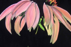 P1, Frauenhut, 2004, A-L, 50x40, © Lore Weiler