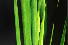 P2, Schilf, 2004, A-L, 50x40, © Lore Weiler