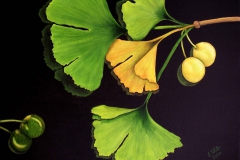 G1, Ginkgo I, 2004, A-L, 50x40, © Lore Weiler