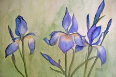 P14, Lilien, 1993, Aquarell,  40x50 m.R., © Lore Weiler