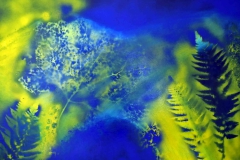 P12, 2009, A-K, 50x70 m.R., © Lore Weiler