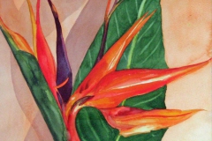 P16, Strelizie, 1999, Aquarell, 50x40 m.R., © Lore Weiler