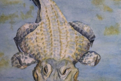 T7, 2003, Aquarell, unverkäuflich, © Lore Weiler