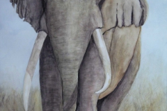 T1, 2003, Aquarell, 60x50, © Lore Weiler