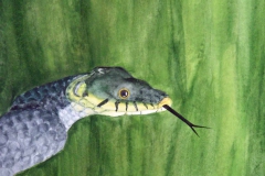 T8, 2003, Aquarell, unverkäuflich, © Lore Weiler